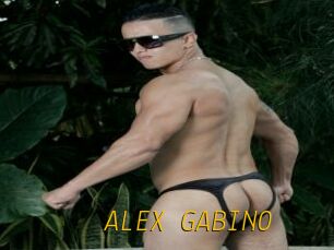 ALEX_GABINO