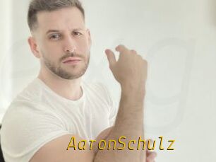 AaronSchulz