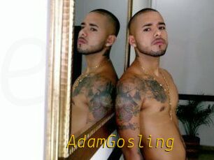 AdamGosling