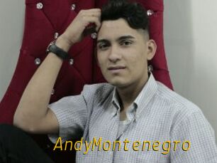 AndyMontenegro