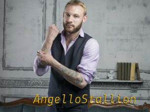 AngelloStallion