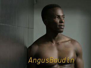 AngusBaudin
