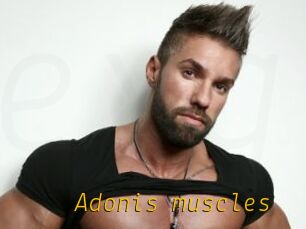 Adonis_muscles