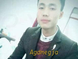 Agdmegja