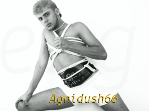 Agnidush66
