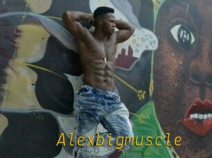 Alexbigmuscle