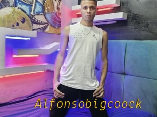 Alfonsobigcoock