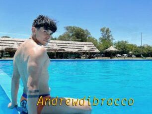 Andrewdibracco