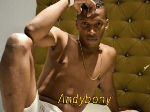 Andybony