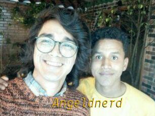 Angeldnerd