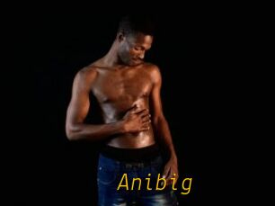Anibig