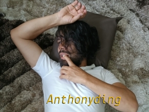 Anthonyding