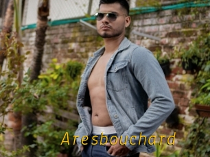Aresbouchard