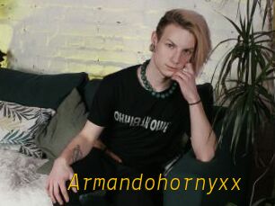 Armandohornyxx