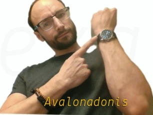 Avalonadonis
