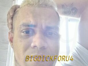 BIGDICKFORU4