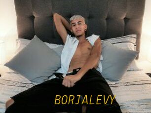 BORJALEVY