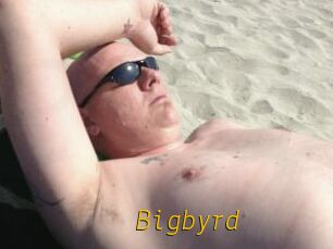 Bigbyrd