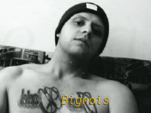 Bignois