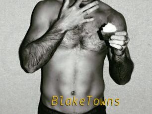 BlakeTowns