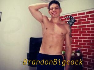 BrandonBigcock
