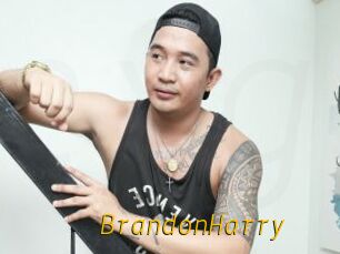 BrandonHarry