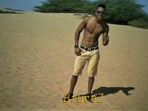 BruceZ