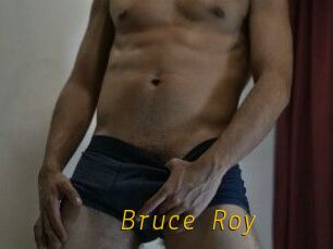 Bruce_Roy