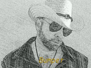 Bumper