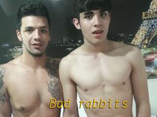 Bad_rabbits