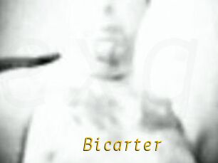 Bicarter