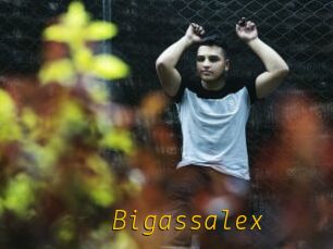 Bigassalex
