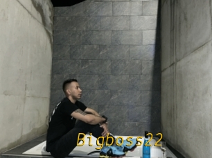 Bigboss22