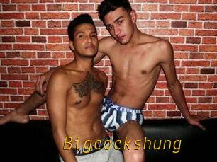 Bigcockshung