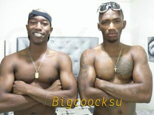 Bigcoocksu