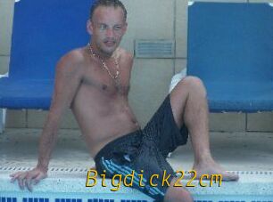 Bigdick22cm
