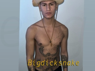 Bigdicksnake