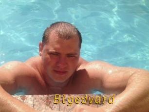 Bigedvard
