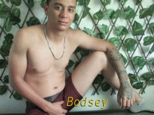 Bodsey