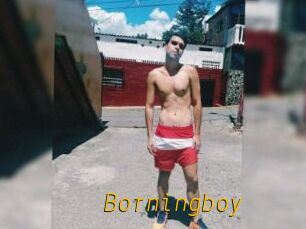 Borningboy