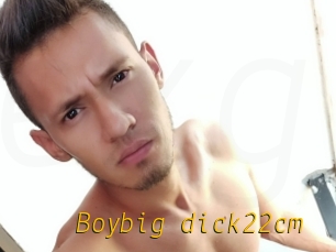 Boybig_dick22cm