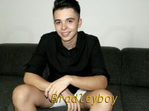 Bradleyboy