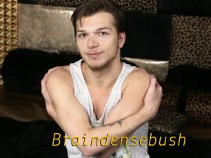 Braindensebush