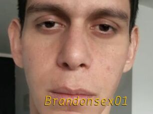 Brandonsex01