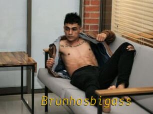 Brunhosbigass