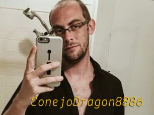 ConejoDragon8886