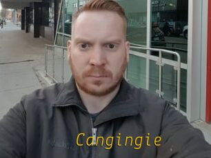 Cangingie