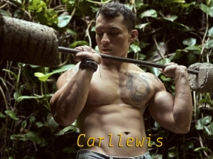 Carllewis