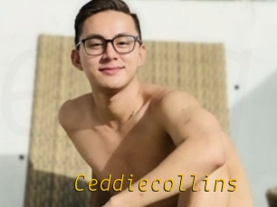 Ceddiecollins