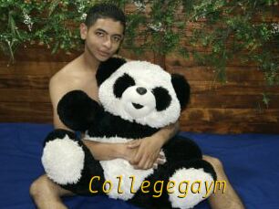 Collegegaym